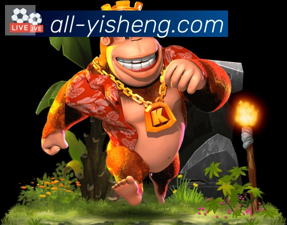 体育直播服务